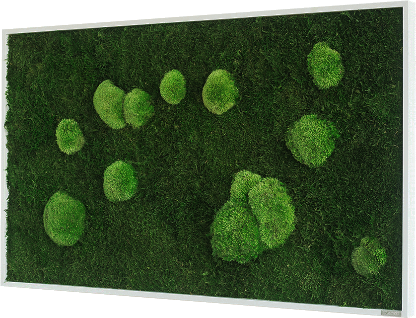 Mechový obraz z kopečkového mechu s lesním mechem 100x60