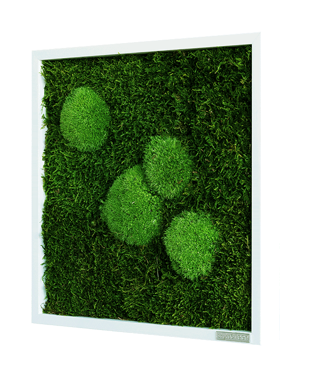 Mechový obraz z kopečkového mechu s lesním mechem 35x35