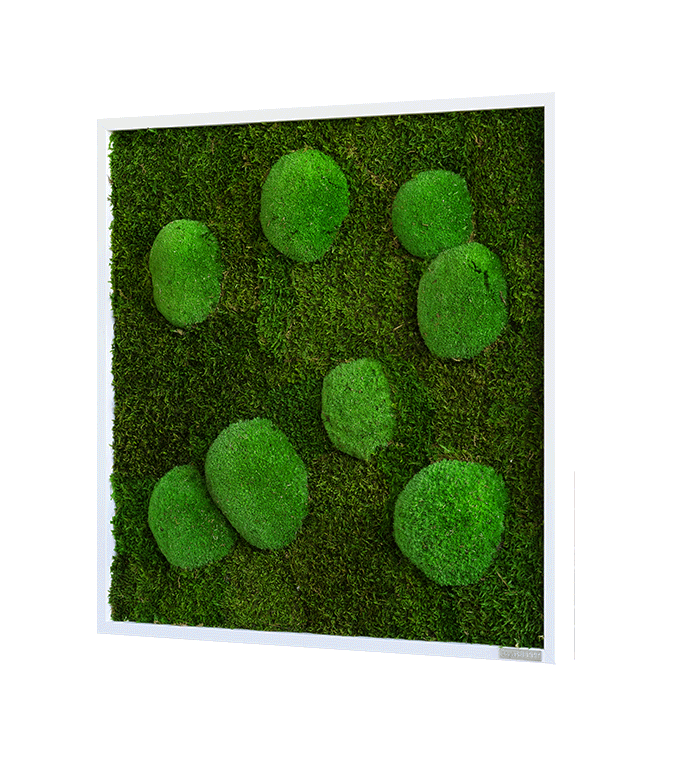 Mechový obraz z kopečkového mechu s lesním mechem 55x55