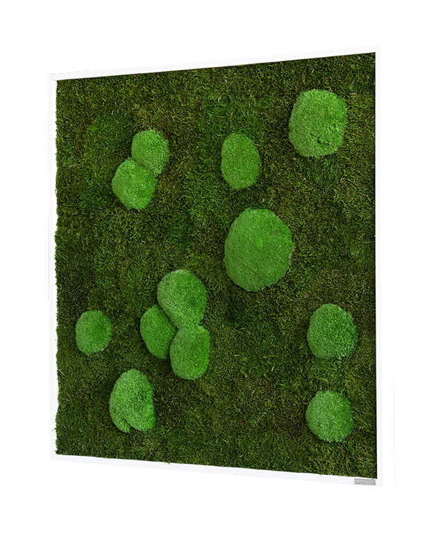 Mechový obraz z kopečkového mechu s lesním mechem 80x80