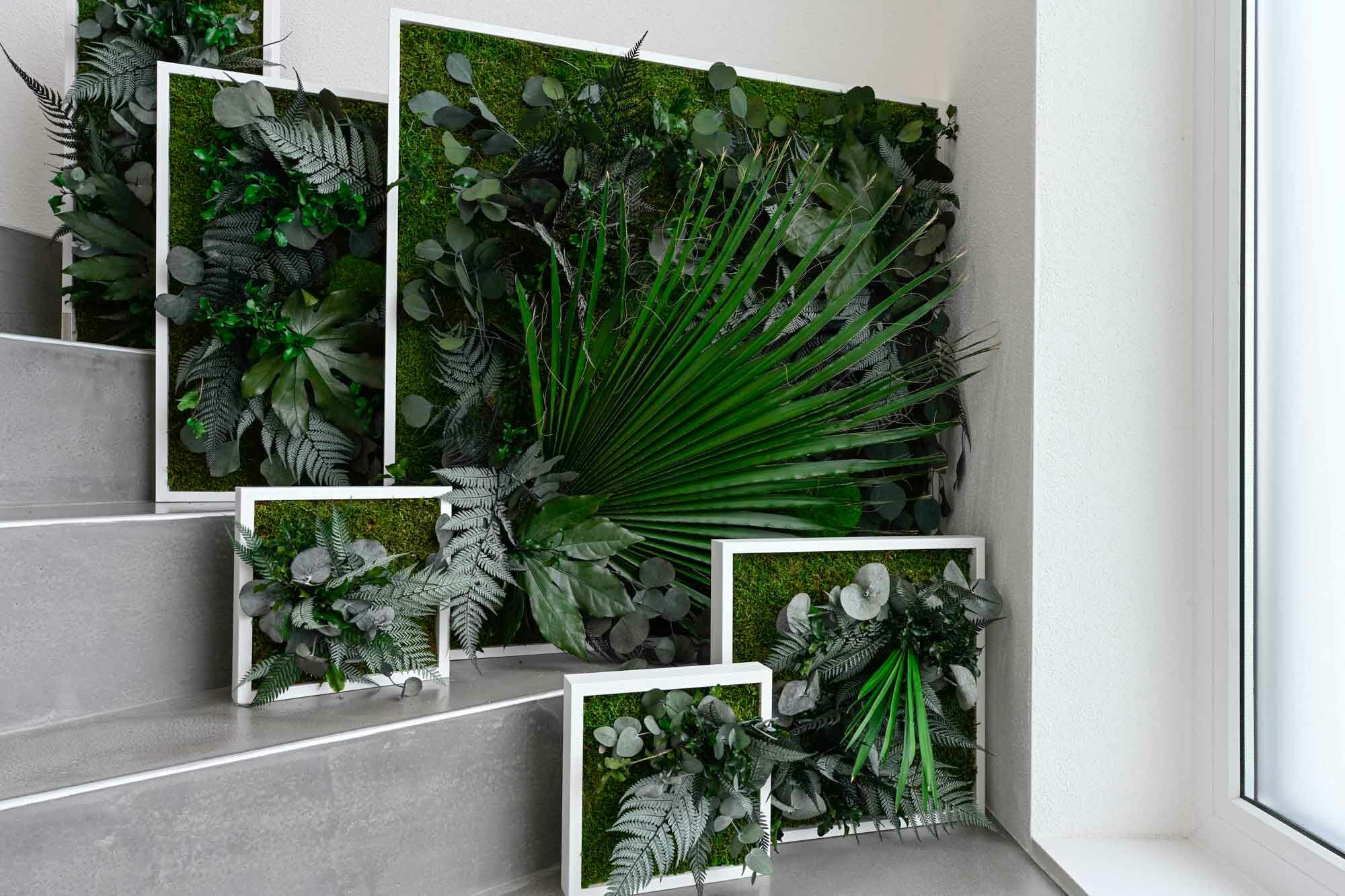 Rostlinný obraz s designem Džungle 80x80