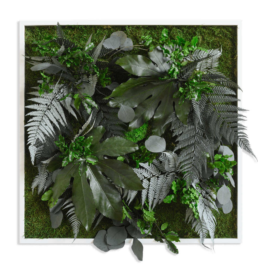 Rostlinný obraz s designem Džungle 55x55