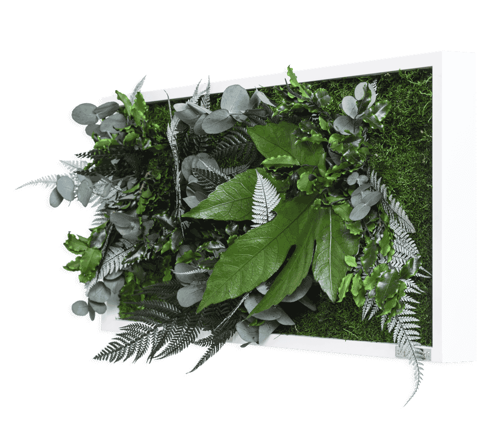 Rostlinný obraz s designem Džungle 57x27